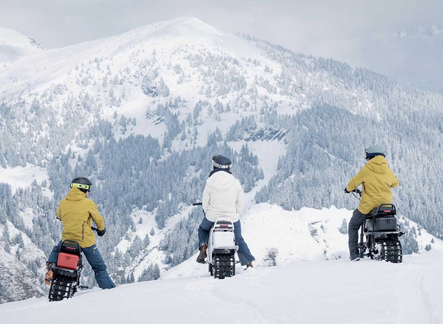 Excursión en moto de nieve eléctrica