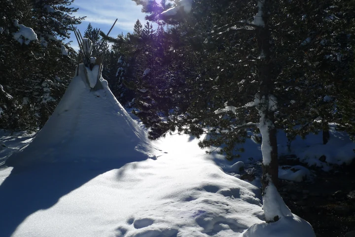 Nieve acumulada entre pinos y abetos, con luz entre las ramas