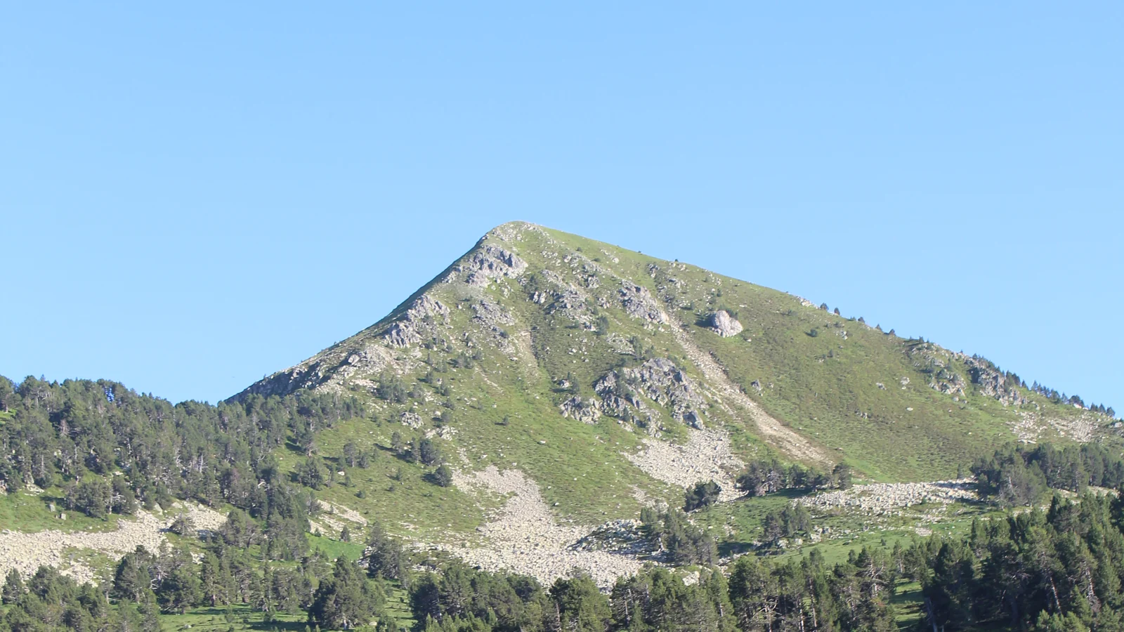 Cima de Salana sobre la ladera y el bosque