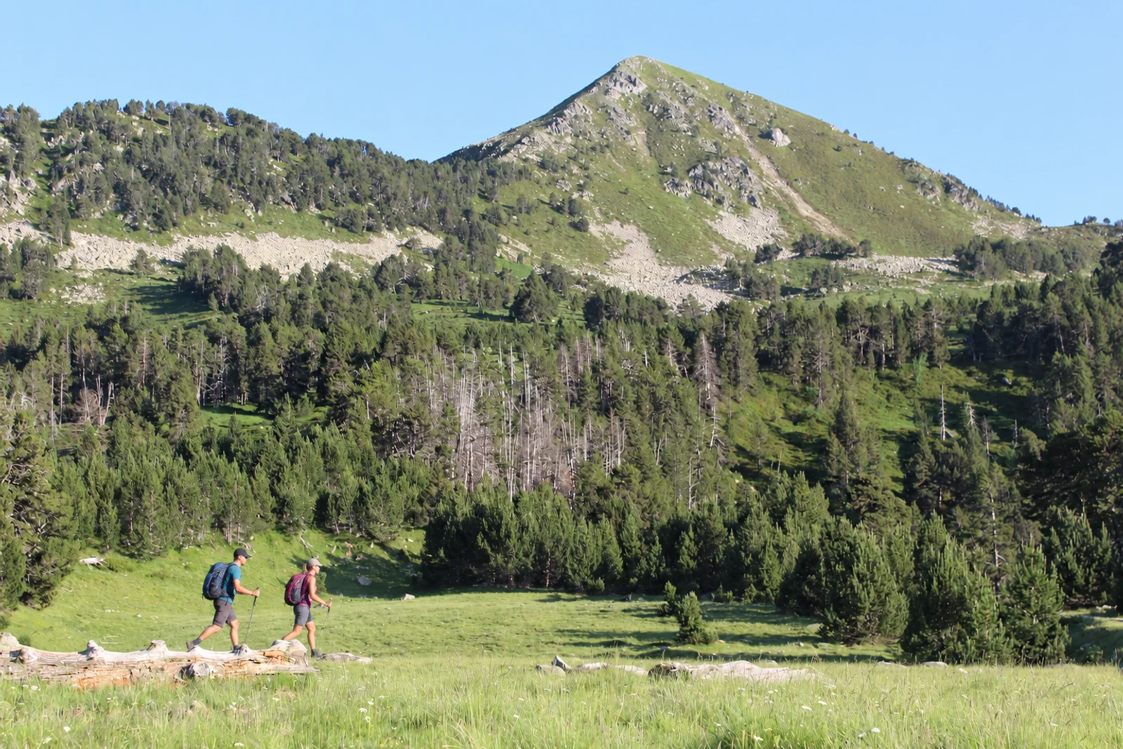 Dos excursionistas avanzan por una pradera ante un pico de montaña