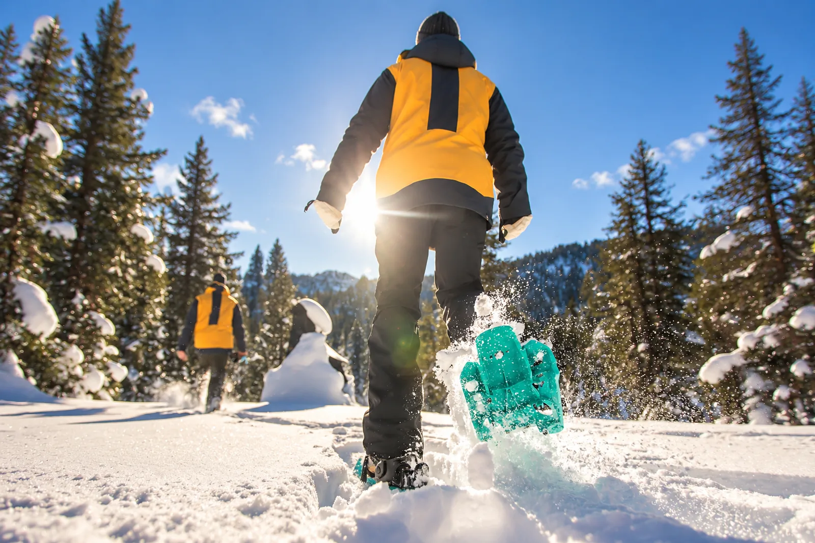 Dos personas con raquetas avanzan por un bosque nevado, una en primer plano levantando nieve